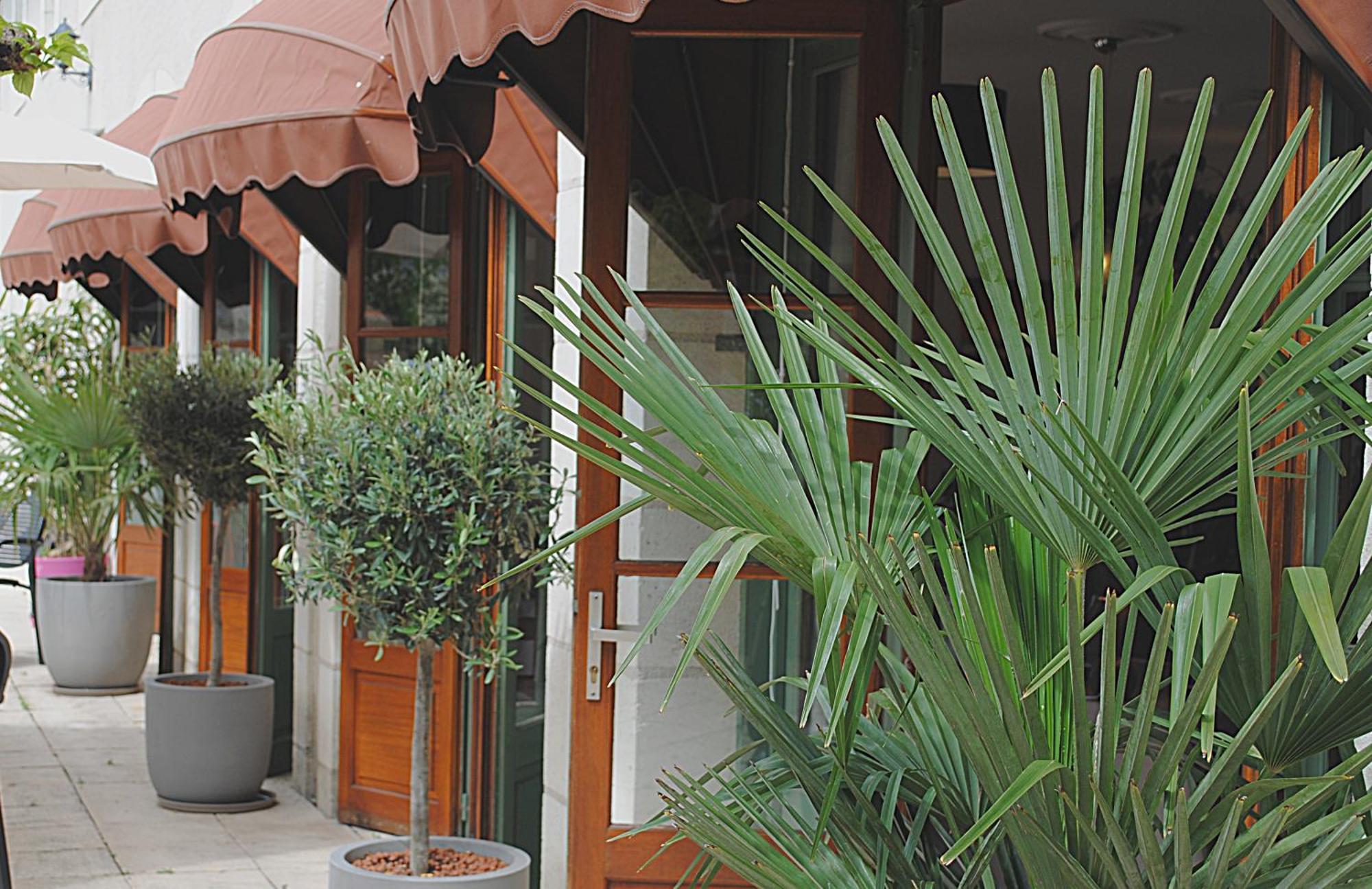 Logis Hostellerie Du Perigord Vert Brantome Exterior photo